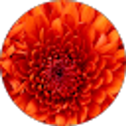 Profile photo of Stephanie Beaty