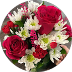 Profile photo of K Sokolov