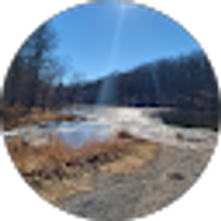 Profile photo of Derek Burrell