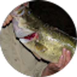 Profile photo of Joel Roepke