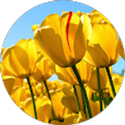 Profile photo of libertad valera