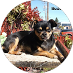 Profile photo of Ron Parker