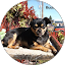 Profile photo of Ron Parker