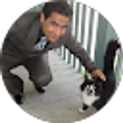 Profile photo of rachit w