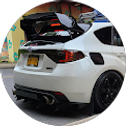 Profile photo of Dominic Caccioppoli