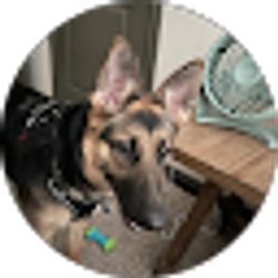 Profile photo of Cullen Henderson