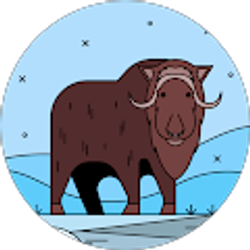 Profile photo of Roberto Rivas