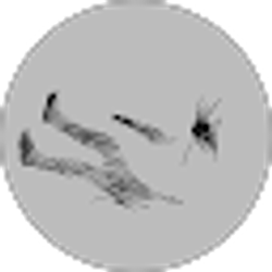 Profile photo of Tristan Kennedy