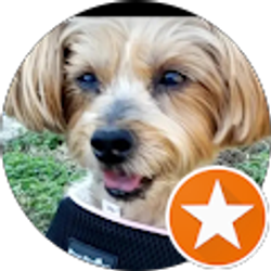 Profile photo of Emily S