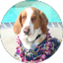 Profile photo of Makani Olu