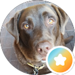 Profile photo of Nancy Reuter