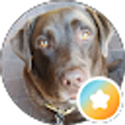 Profile photo of Nancy Reuter