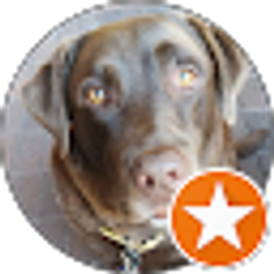 Profile photo of Nancy Reuter