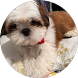 Profile photo of Maria Ceja