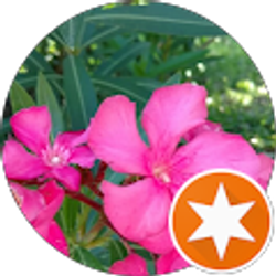 Profile photo of Calvin Allen