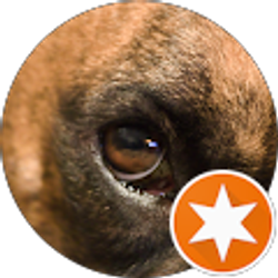 Profile photo of Carl Meibergen