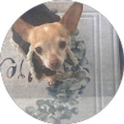 Profile photo of Wanda Martinez