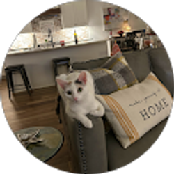 Profile photo of Linda Mitchell