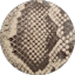 Profile photo of Fancy Animal