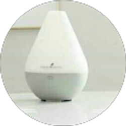 Profile photo of Ashley Ann