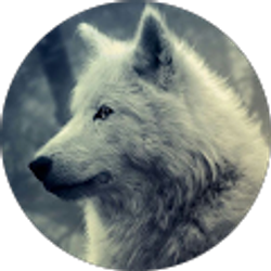 Profile photo of Jim Williams