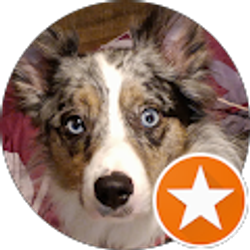 Profile photo of Joe G