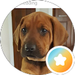 Profile photo of J B