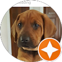 Profile photo of J B