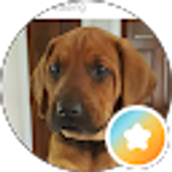 Profile photo of J B