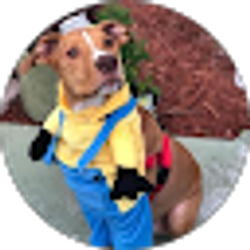 Profile photo of Chris Fuentes