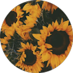 Profile photo of Camille Malvar