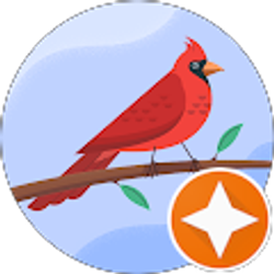 Profile photo of Josue Leon