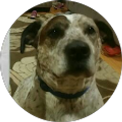 Profile photo of Janell Koepke