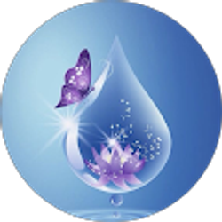 Profile photo of Erika Chaidez