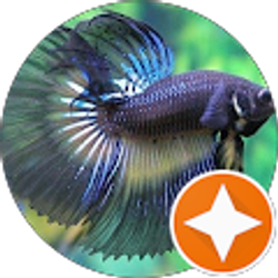 Profile photo of Off The Grid (OTG)