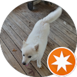 Profile photo of Randall Chapman