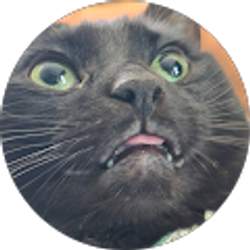 Profile photo of Tristan Wicker