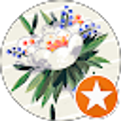 Profile photo of Brenda jennings