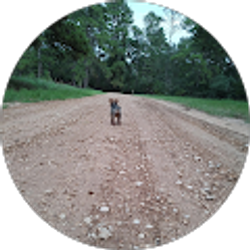 Profile photo of Vanessa