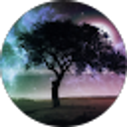 Profile photo of Chris May
