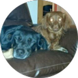 Profile photo of Marianne Kilts