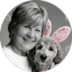 Profile photo of Jill Johnson