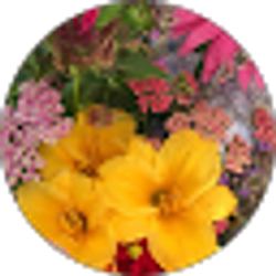 Profile photo of Darlene Regan