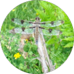 Profile photo of Jamie Ohrt