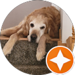 Profile photo of Cheri Johnson