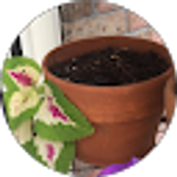 Profile photo of S Brown