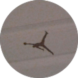 Profile photo of Gesner Alexandre