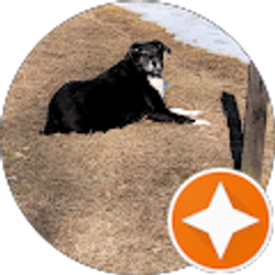 Profile photo of Todd Pleasant