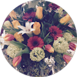 Profile photo of Ana Sanchez