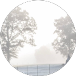 Profile photo of Barry Mcreeks